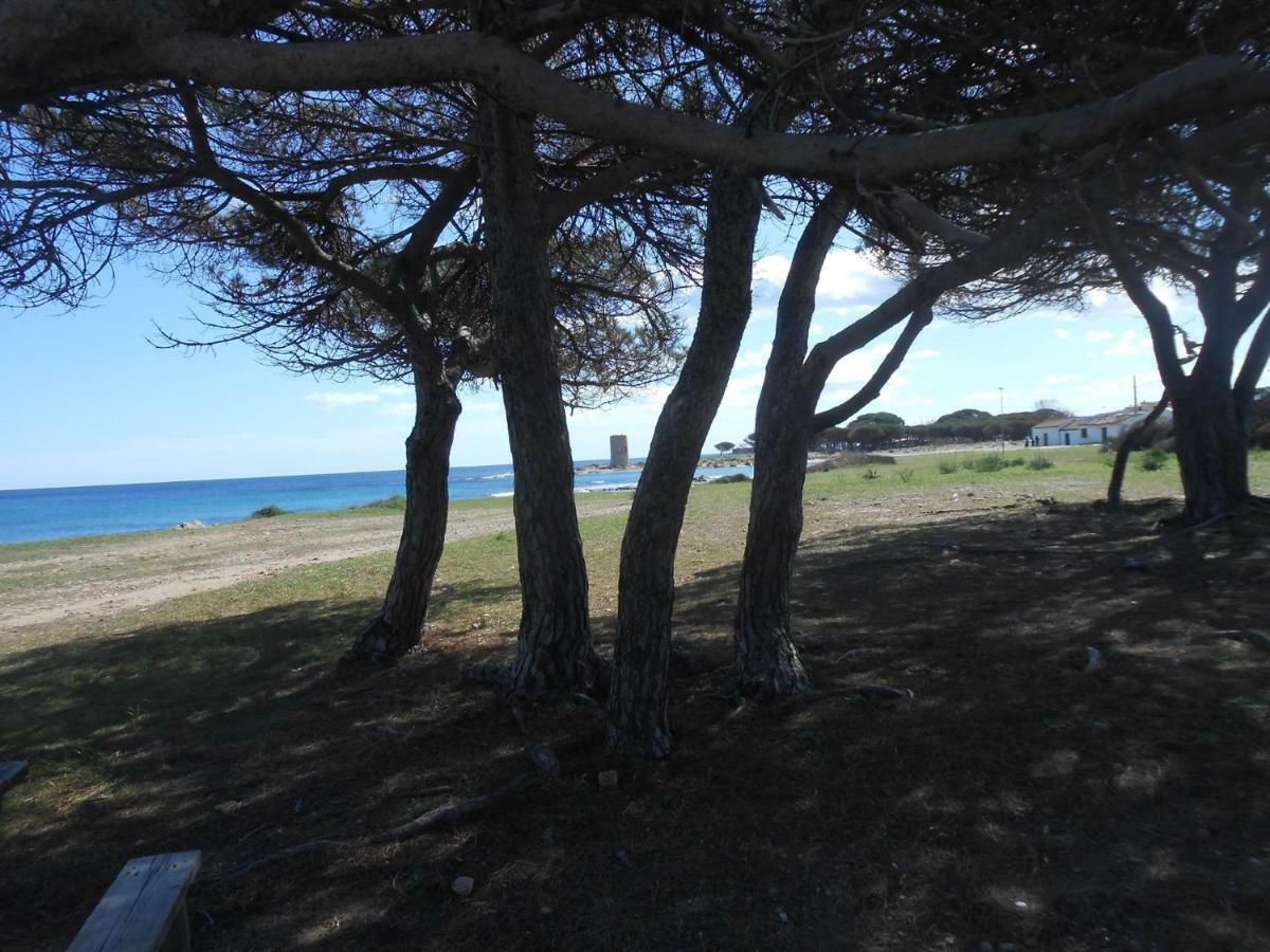 Appartamento Vecchia Pineta San Giovanni  ภายนอก รูปภาพ